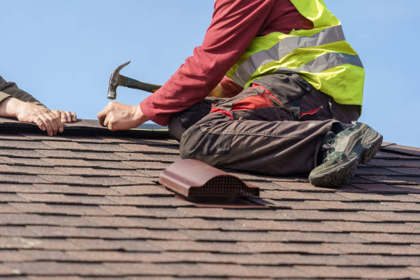 Best Roof Leak Repair  in Trinity, FL