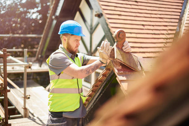 Best New Roof Installation  in Trinity, FL