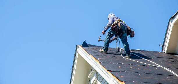 Best Commercial Roofing Services  in Trinity, FL